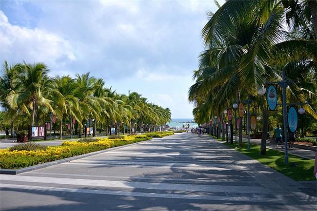 三亚的"双修"项目改造以来,迎宾路,凤凰路和榆亚路,围绕热带滨海特色
