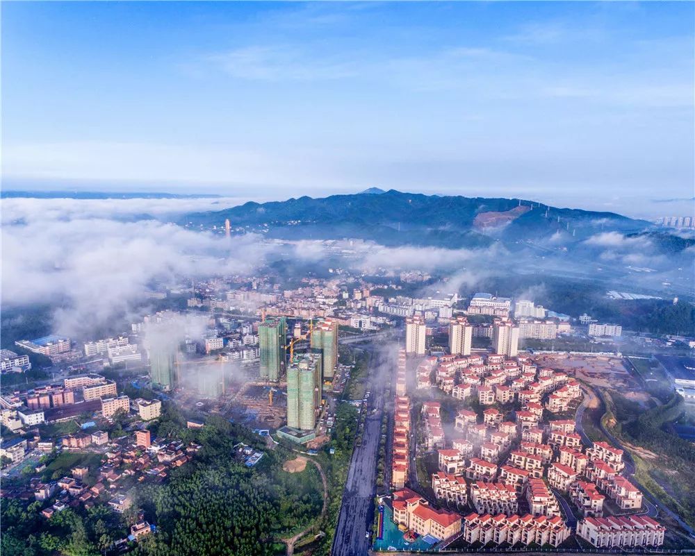 高明区杨和镇工作满意度调查