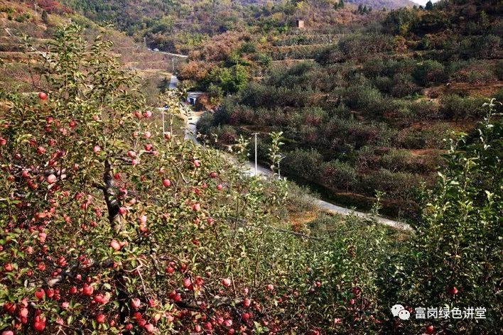 赞富岗公司诗词欣赏