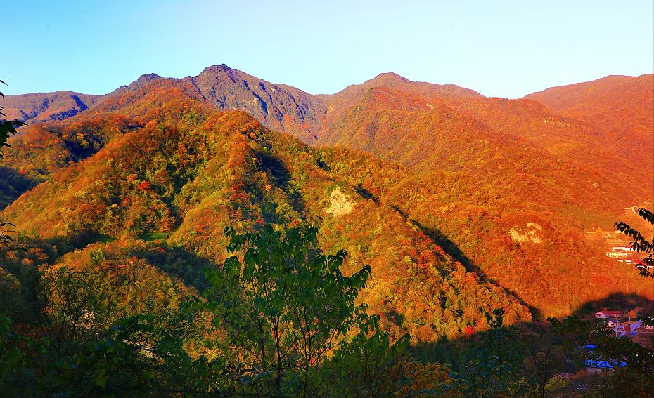 震撼竹溪最高山峰就在这儿这个季节美到窒息