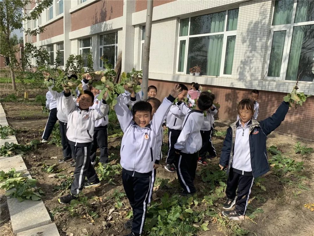 光正小学不忘初心教育为本盘锦光正实验学校首届采摘节