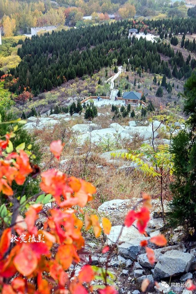 【美哉長清】家門口的風景——雙龍山山體公園