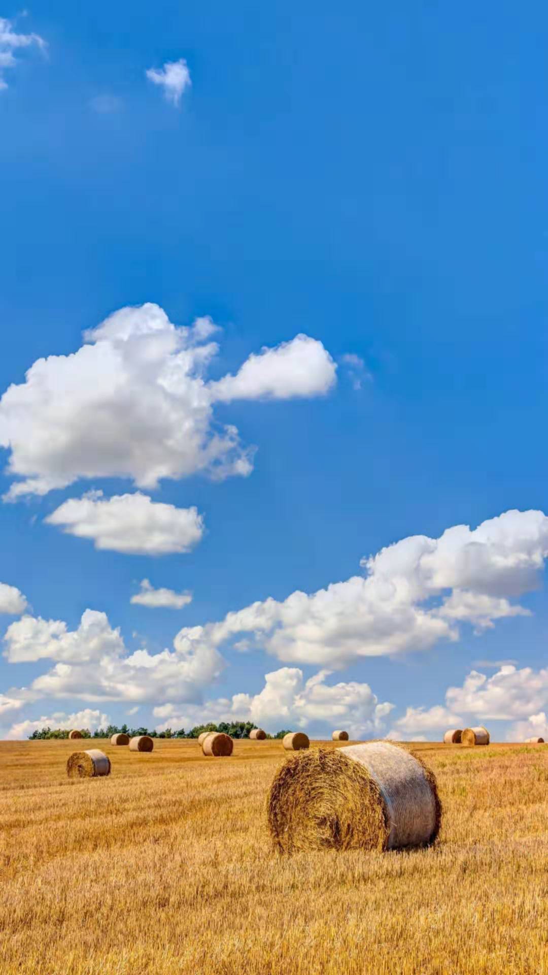 蔚蓝的天,飘逸的心
