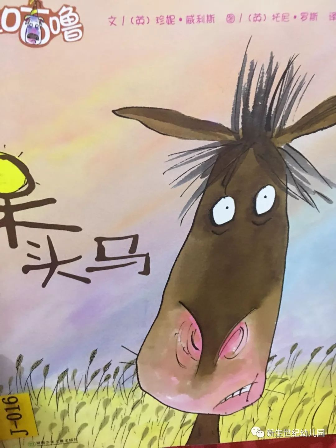 【包头市新生世纪幼儿园绘本电台】《呆头马》