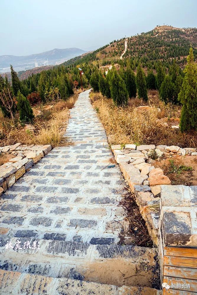 美哉长清家门口的风景双龙山山体公园