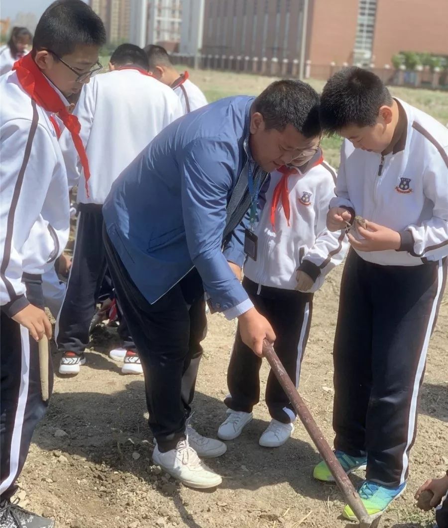 光正小学不忘初心教育为本盘锦光正实验学校首届采摘节