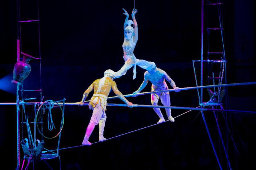 一年一度的国际性马戏杂技演出即将在这里举行