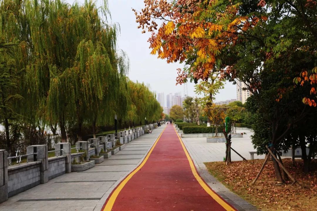 運河風光帶發現美一起秋日的泗陽公園就和小編去今天——羅丹