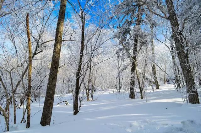 生态旅游从雪谷到雪乡穿越冰雪之路
