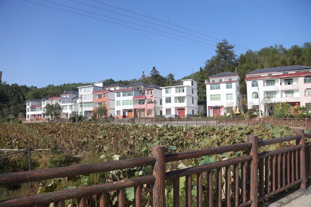 有你家乡么,石城村庄"颜值"大比拼_珠坑乡