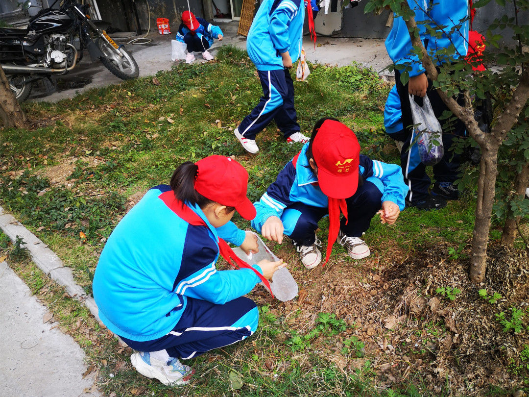 多圖名泉小學師生社區活動剪影有你麼