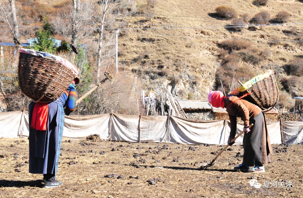夏河县受灾群众已恢复正常生产生活秩序