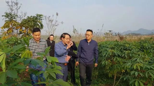 州政府调研组来花垣调研"省州重大经贸活动招商引资签约项目履约"情况