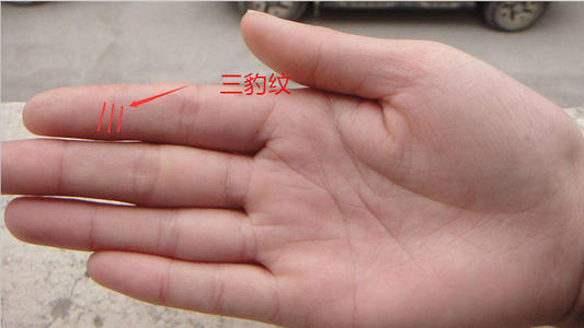 理财型手相:在手掌的感情线上去有一条平行线,叫做理财纹.