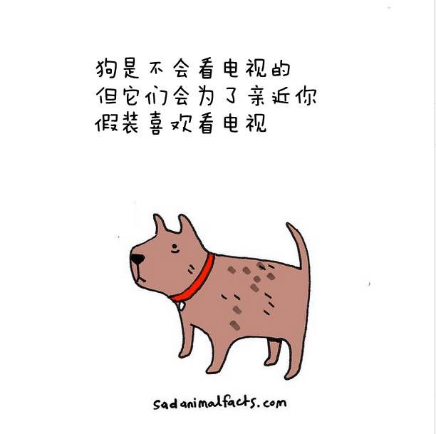 别矫情谁都不容易