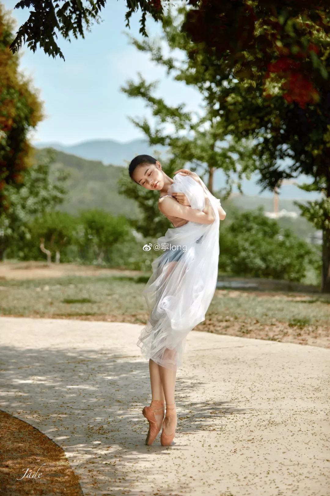 这天鹅颈太美了中央芭蕾舞团宁珑的写真大片