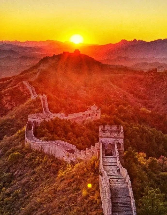 金山岭长城红得一塌糊涂霜降过后"停车坐爱枫林晚,霜叶红于二月花"