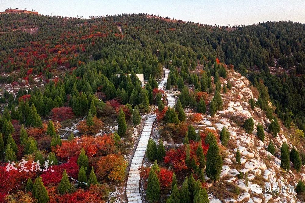 【美哉长清】家门口的风景——双龙山山体公园