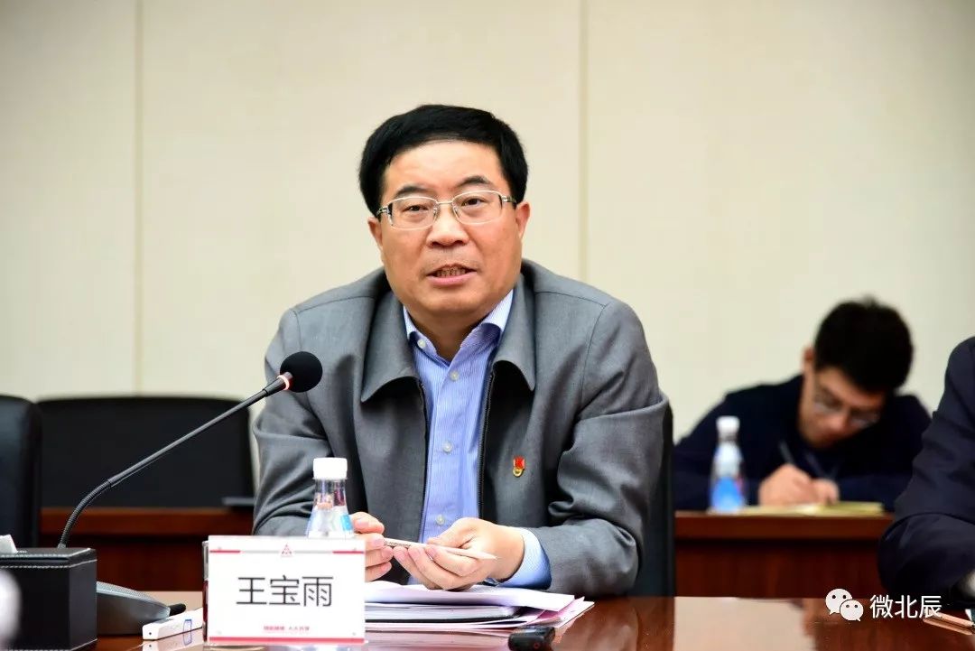 区领导高平武,庞镭,胡学春,杨淑鑫参加.