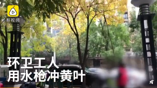环卫工用高压水枪打黄叶