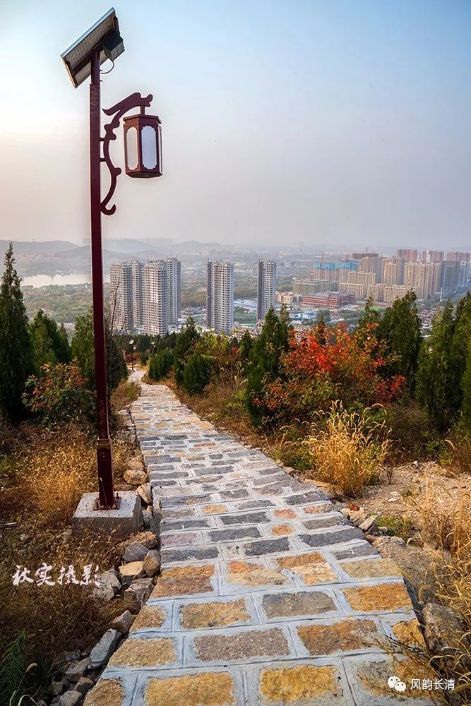 美哉长清家门口的风景双龙山山体公园