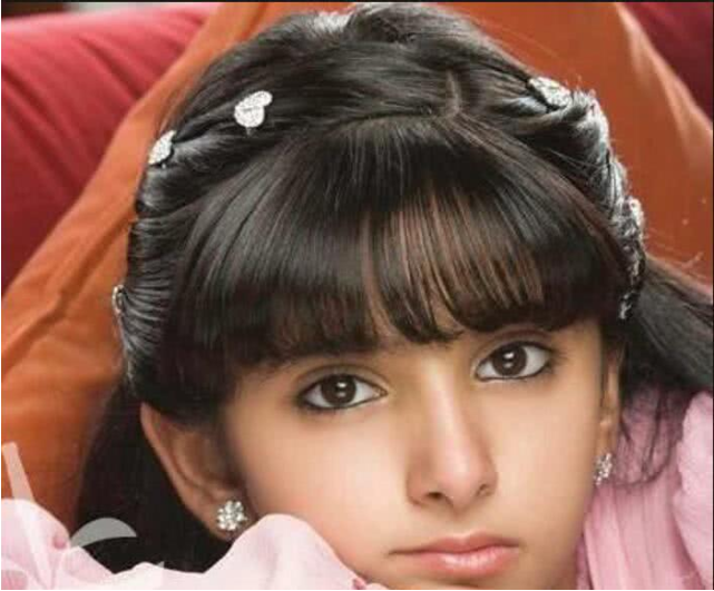 萨拉玛公主 来自搜狐网