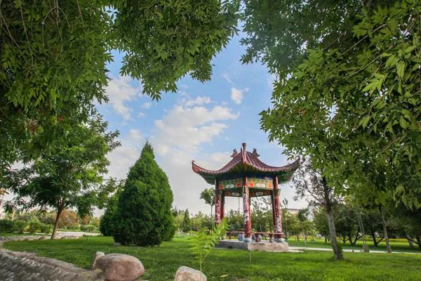 平罗钟鼓楼(图源:石嘴山大城小事)石嘴山森林公园(图源:石嘴山日报