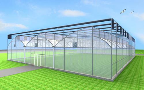 加温型日光温室工程和节能型日光温室工程的区别