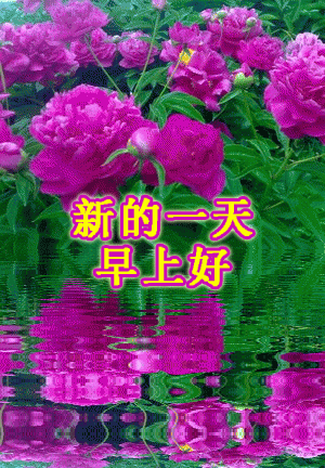 山不转路转路不转人转只要心念一转逆境也能成机遇早安