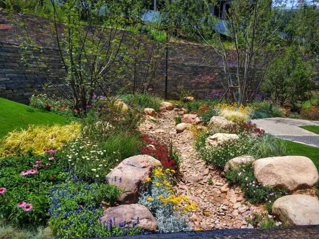 第三届中国花境竞赛贝利得参赛作品一览