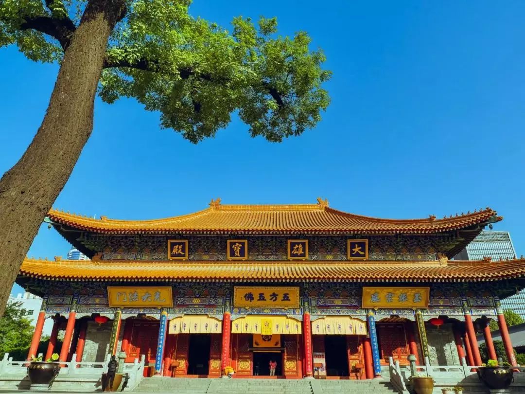 最美雁塔丨晚秋,抓住雁塔这最后一抹金黄_大兴善寺