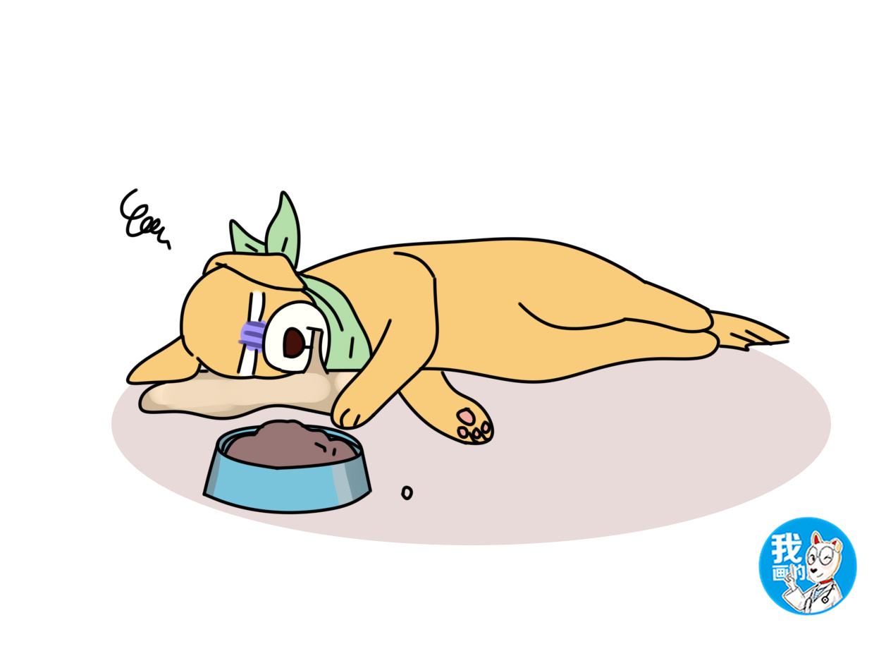 犬细小传染性高,死亡率更是达到80%,但是并不是无药可医_狗狗