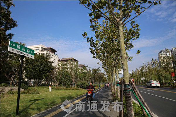 城山路,是我市连接濠河与五山两大风景区的"城市黄金走廊,通过机非