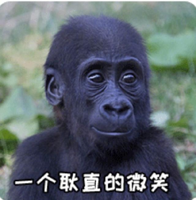 原创杨紫生日乔欣祝福是最用心的牛骏峰是来捣乱的李现是最暖的