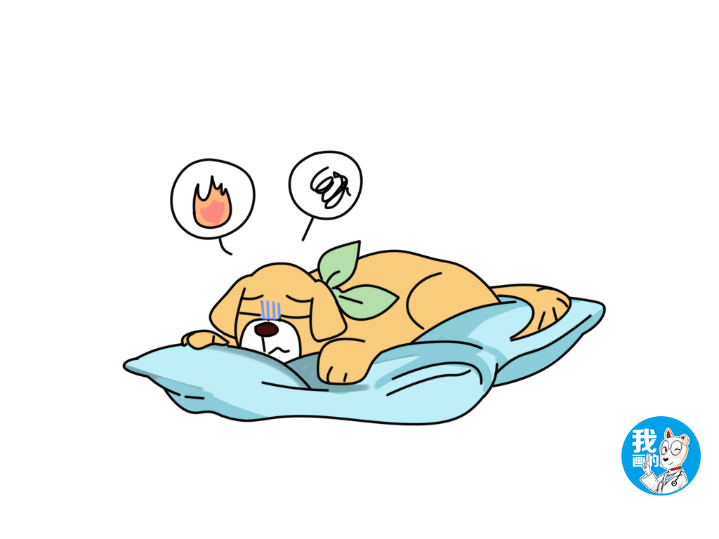 狗狗感到焦虑和压力会有哪些表现呢有什么办法可以缓解