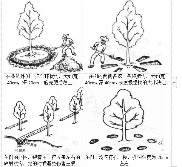 莲农小课堂秋季果园施肥小妙招