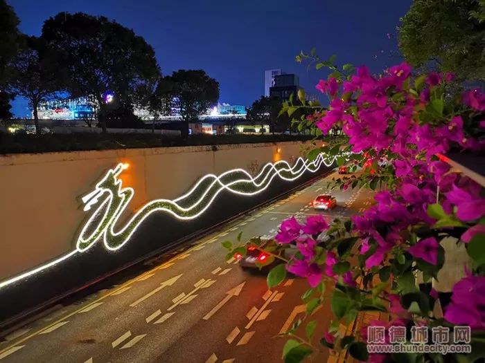 顺德碧水路有"巨龙"出没?快去打卡!_龙舟