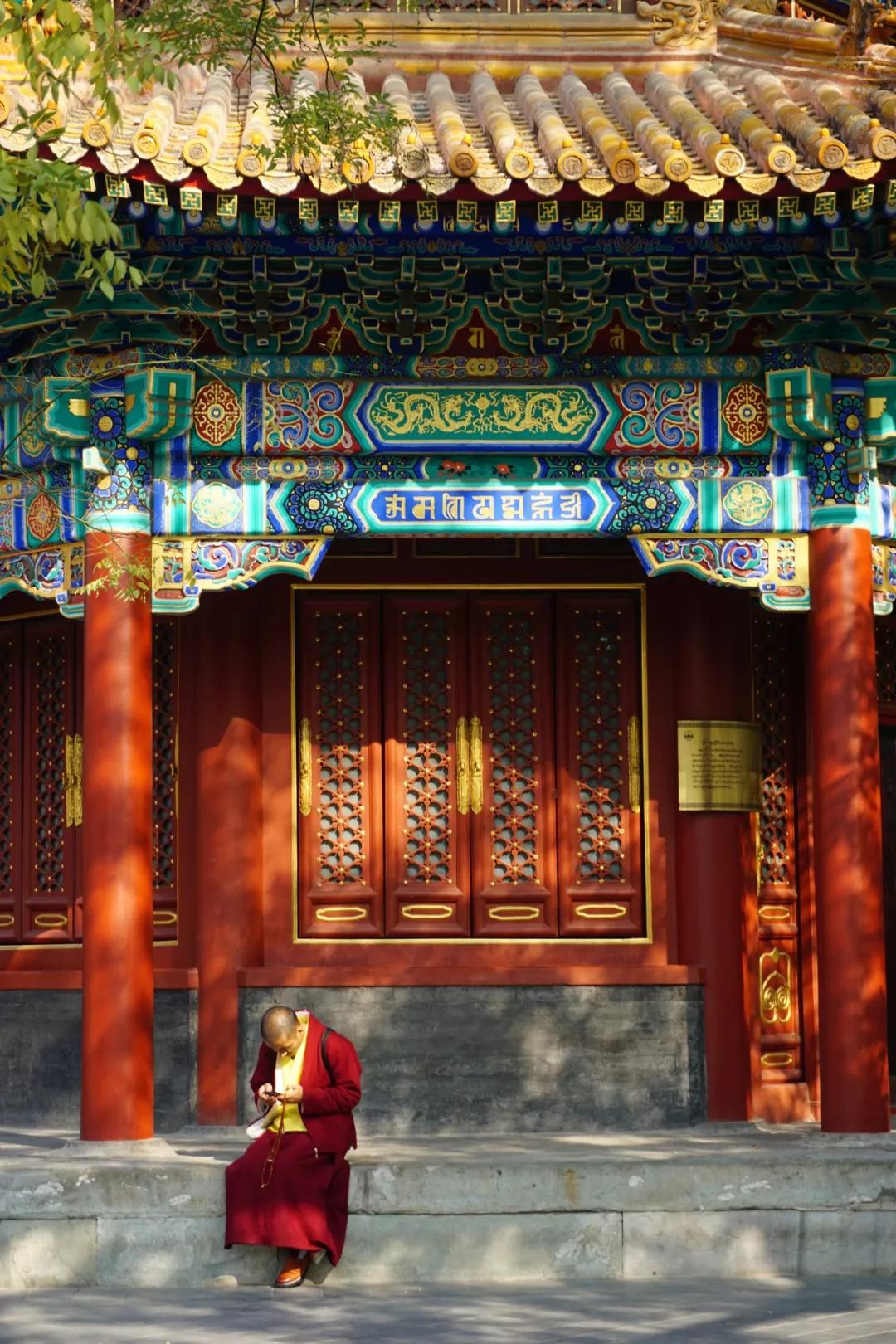 赏秋还在挤香山北京这3座寺庙银杏最有禅意秋天正静享安宁