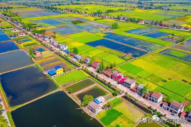 稻虾生态种养面积达55万亩湖南南县将打造国内最知名的稻虾米和小龙虾