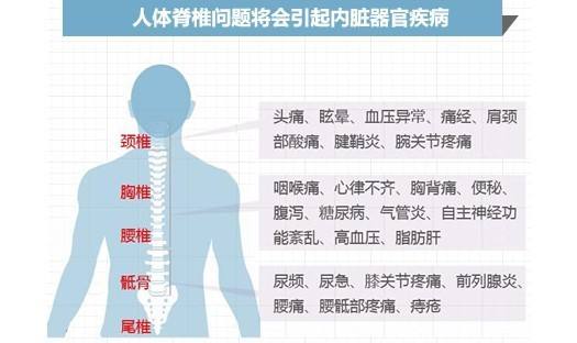 頸椎是脊椎的重要組成,人的脊椎一共有26節,頸椎7節,胸椎12節,腰椎5節