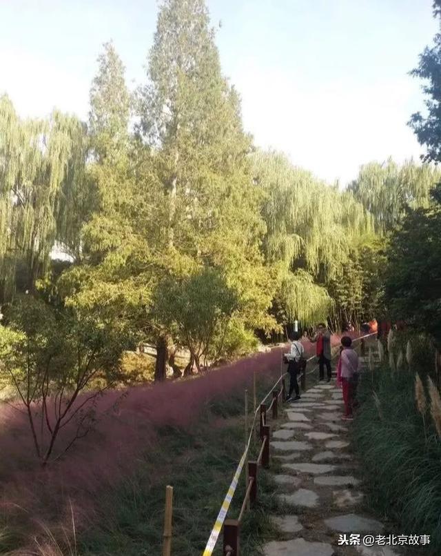 这个地方确实不好找沿途有大片的茂林修竹将这里给藏得严严实实的当然