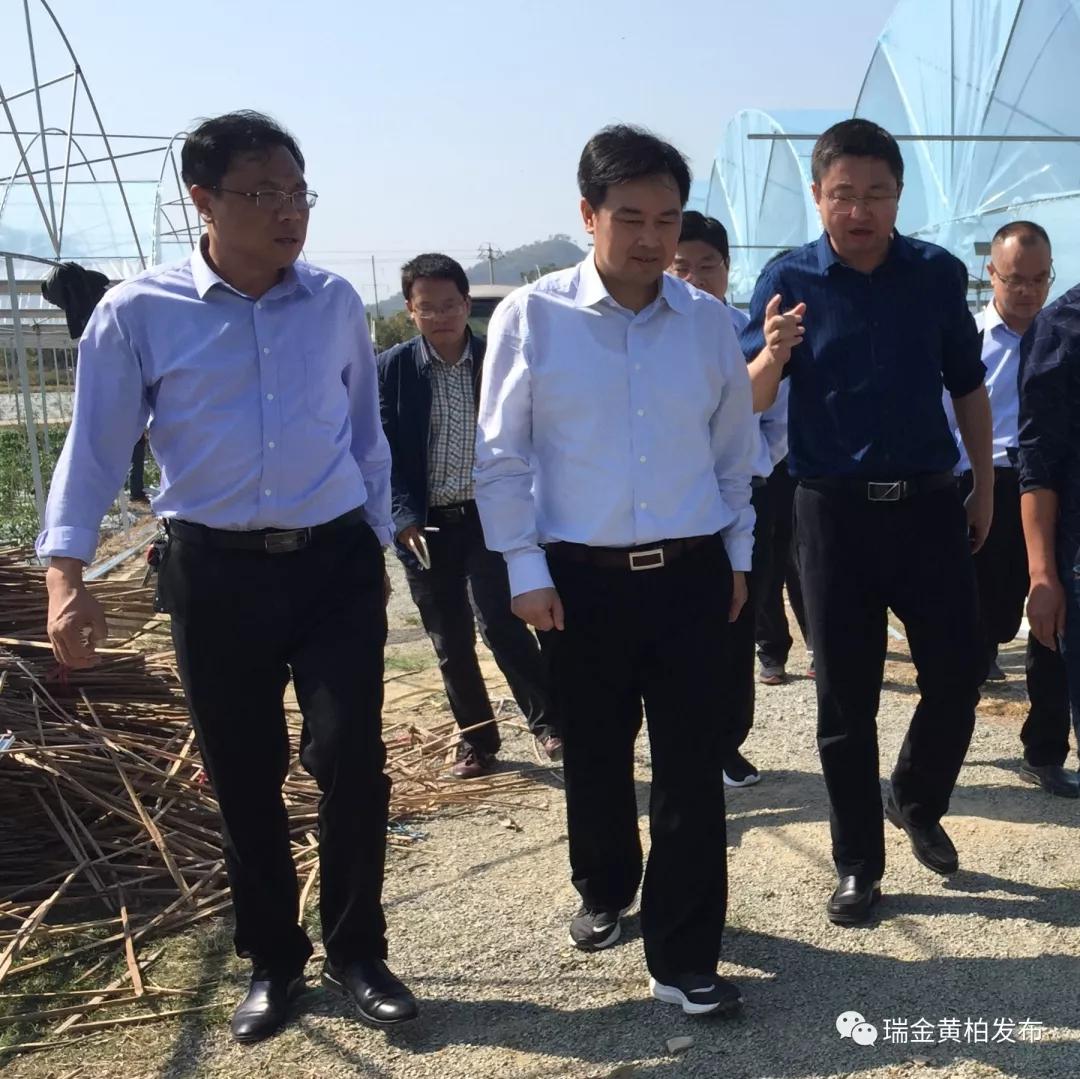许锐书记在黄柏提出三点意见!