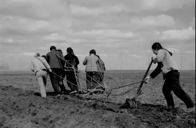 【作者简介】张欣华,笔名剔痴,甘肃省嘉峪关市五一路小学 , (勉县新