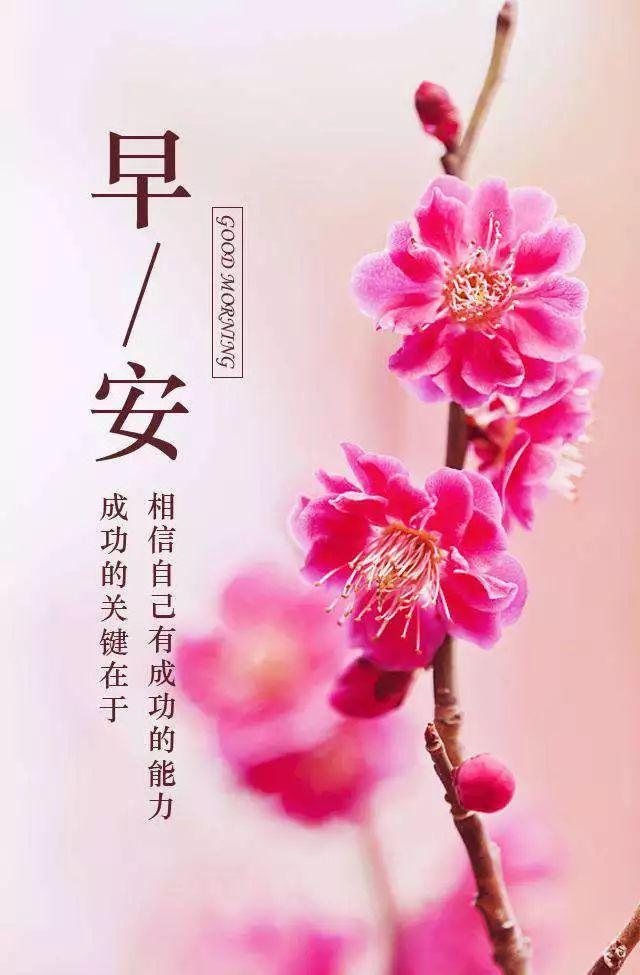 学会放弃学会坚强学会微笑那是一种别样的美丽早安