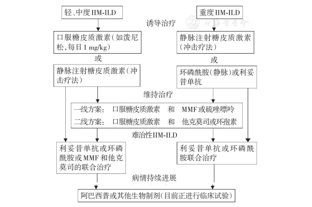 【综述】利妥昔单抗在抗合成酶综合征相关性间质性肺炎中的治疗进展_患者