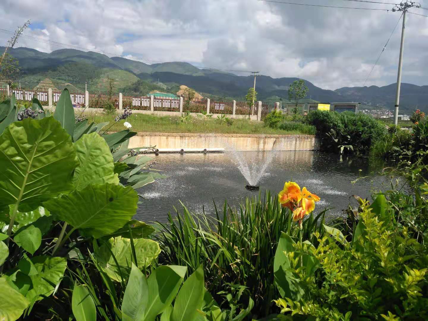 隆阳区板桥孟官温泉图片