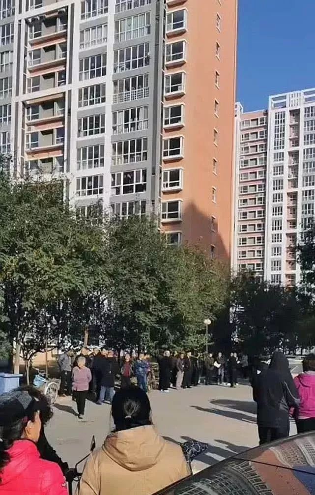 11月5日 廊坊一小区女子坠楼!
