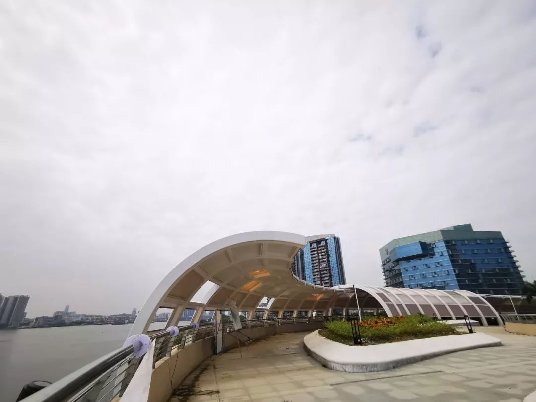 大良"金凤凰"展翅欲飞,这番美景是不是很让你期待?