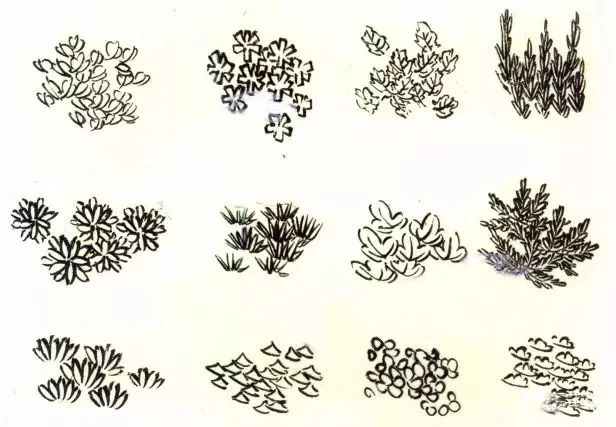 图文教程点叶夹叶画法示