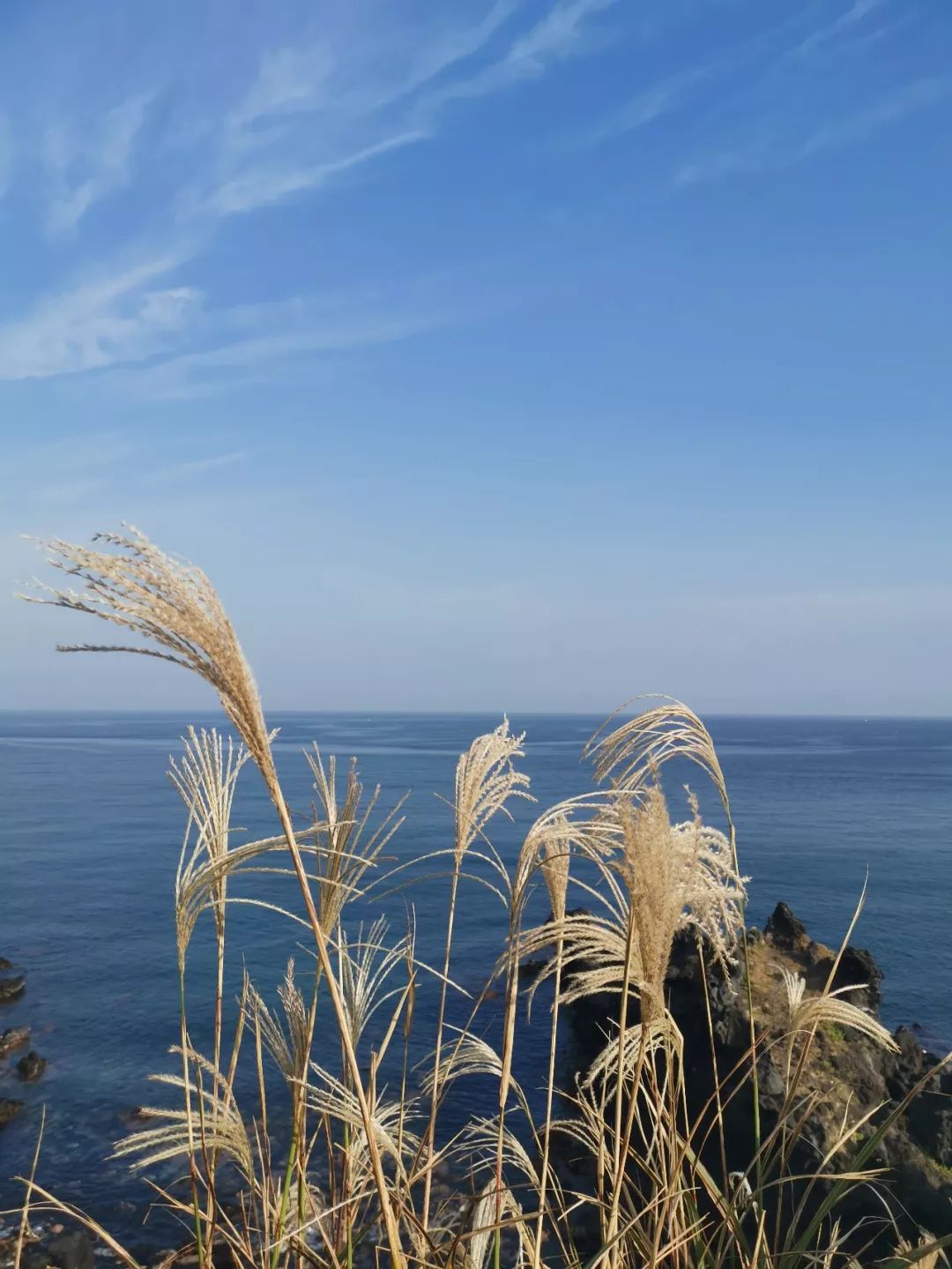 文 |蓝若兮认识一个人,大家送他一个绰号"按自己先生".绝对名副其实.